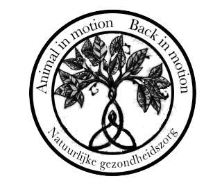 Back in motion logo